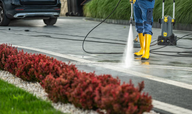 Best Commercial Building Pressure Washing  in Donaldsonville, LA
