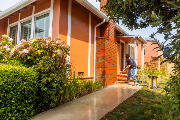 Best House Pressure Washing  in Donaldsonville, LA
