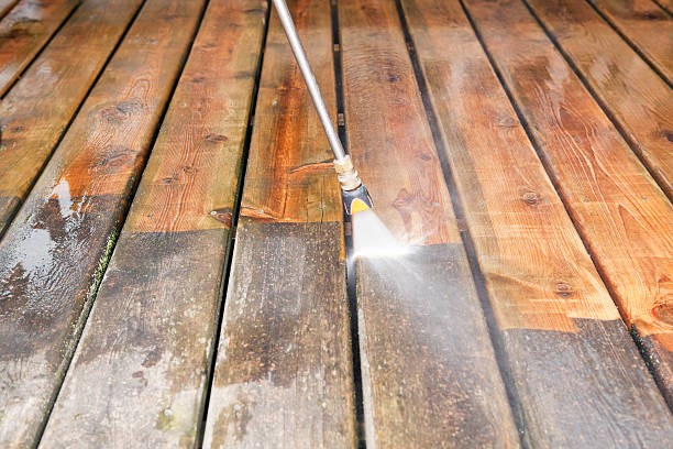 Best Affordable Pressure Washing  in Donaldsonville, LA